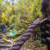 Foto que muestra árboles y un sendero ecológico 