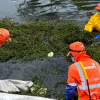 Foto que muestra tres personas con el uniforme de Aguas de Bogotá limpiando un cuerpo de agua