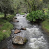 Foto de un río en las montañas de Cundinamarca.