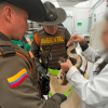 Foto que muestra dos policías y una mujer sosteniendo una boa con las manos