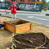 Foto de una jornada de aprovechamiento de residuos orgánicos en Bogotá,