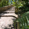 Sendero peatonal de Monserrate con escalones en piedra rodeados de abundante vegetación.