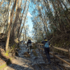 Foto que muestra un Sendero Ecológico, árboles y personas caminando 