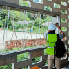 Funcionario del IDIGER con chaleco reflectivo y casco realiza una inspección técnica en una edificación afectada en el departamento del Chocó tras el terremoto del 10 de agosto