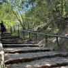 Escalinata de piedra del sendero de Monserrate rodeada de árboles y vegetación, con barandas metálicas y una persona caminando entre los Cerros Orientales de Bogotá.