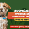 Pieza gráfica con ilustraciones de un perro y un gato sobre fondo verde con mensaje que dice: ´¡Bogotá abre 11.000 esterilizaciones gratuitas para perros y gatos durante el mes de septiembre!´.
