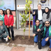 Grupo de personas del Jardín Botánico y del centro comercial Los Héroes posa alrededor de un árbol recién sembrado en un andén.