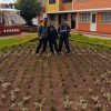 Operarios del Jardín Botánico de Bogotá exhiben la nueva jardinera del barrio Quirigua de la localidad de Engativá