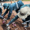 Personal del Jardín Botánico de Bogotá realiza labores de siembra de plantas en una jardinera del parque El Nogal.