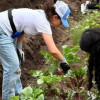 Jóvenes en una jornada de voluntariado ambiental en la UPI Perdomo,