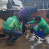 Funcionarios del IDPYBA y la Policía de Bogotá en operativo de rescate de nueve animales.