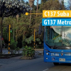 Foto de un bus de TransMiZonal.