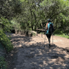 Persona desciende por el sendero de Monserrate utilizando bastones de apoyo, sobre un tramo empedrado rodeado de vegetación y árboles.