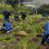 Personas participan en una jornada de restauración ecológica en el Parque Arqueológico y del Patrimonio Cultural de Usme.