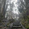Foto que muestra un Sendero Ecológico y árboles 