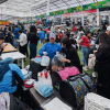 Foto que muestra varias personas participando en la jornada de adopción de mascotas