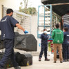 Foto del operativo en Bogotá que devolvió a la vida silvestre 247 animales recuperados.