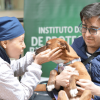 Persona con chaqueta azul sostiene un perro de color café con collar, mientras otra persona acerca el rostro y toma suavemente la cabeza del animal.
