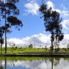 Cuerpo de agua que refleja el cielo y la vegetación circundante, rodeado por árboles altos y zonas de pasto verde. Al fondo se observan amplias áreas verdes y una fila de edificaciones bajo un cielo azul con nubes blancas dispersas.