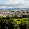 Foto panorámica de Bogotá que muestra edificios y árboles .