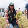 Persona participante de una actividad ambiental sostiene una plántula junto a vegetación nativa en un humedal de Bogotá, durante una jornada de formación y conservación ambiental.