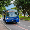Foto de un bus TransMiZonal