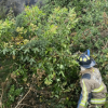 Persona con traje de bombero realiza labores entre vegetación densa en una zona de ladera cubierta por arbustos y plantas verdes.