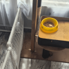 Recipiente amarillo con agua sobre una base de madera junto a una estructura metálica de malla, en un espacio interior con piso gris.