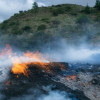 Quema forestal en Cundinamarca 