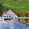 Foto que muestra el Humedal La Conejera 