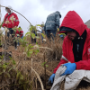 Personal con chaquetas rojas e impermeables realiza labores de restauración ecológica y siembra de plantas nativas en una ladera de montaña con vegetación seca, bajo un cielo nublado.