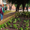 Jardinera intervenida con tierra removida y nuevas plantas ornamentales de follaje verde. Un borde amarillo delimita el área sembrada. Al fondo se observan árboles, vegetación y un sendero peatonal donde transitan personas de Bogotá.
