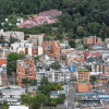 Vista panorámica de Bogotá con edificios residenciales y comerciales de diferentes alturas, calles arboladas y una extensa zona boscosa en los cerros orientales al fondo.