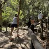Personas recorren el sendero peatonal de Monserrate entre árboles y vegetación. El camino está pavimentado con piedra y cuenta con barandas de madera a ambos lados.