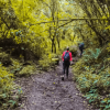 Foto que muestra una persona caminando por un sendero ecológico 