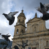 Palomas volando en la Plaza de Bolívar en Bogotá