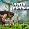 Foto de una mujer realizando labores de cultivo en una huerta urbana en Bogotá.