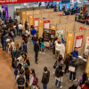 Personas participando en la Megaferia de empleo 