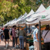 Ciudadanos visitando los Mercados Campesinos