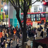 Buses de TransMilenio en medio de las movilizaciones de este 14 de octubre de 2026.