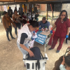 Foto de una brigada veterinaria en Bogotá 