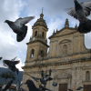 Foto de palomas en la Plaza de Bolívar 