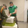 Personal uniformado entrega un guacal con un animal de compañía a otra persona en una instalación interior.