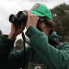 Funcionario de la Secretaría de Ambiente con binoculares observa aves o fauna en una zona verde con árboles y césped, durante una actividad de monitoreo ambiental al aire libre en Bogotá.