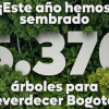 Imagen gráfica con el texto: Este año hemos sembrado 5.370 árboles para reverdecer Bogotá 
