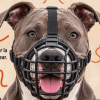 Perro con bozal de canastilla negro visto de frente. Alrededor aparecen indicaciones sobre el ajuste adecuado del bozal: permitir beber agua, abrir la boca y jadear, y quedar firme sin apretar. Flechas naranjas señalan distintos puntos del bozal.