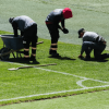 Tres trabajadores realizan labores de mantenimiento y reparación del césped en la cancha del estadio El Campín de Bogotá, junto a la línea lateral del campo de fútbol.