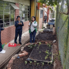 Estudiantes participan en una actividad educativa junto a una huerta escolar con cultivos en crecimiento, ubicada en un espacio exterior de una institución educativa, durante una jornada liderada por el Jardín Botánico de Bogotá.