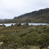 Paisaje de páramo andino con vegetación nativa, una laguna al centro y montañas cubiertas de neblina al fondo en la región de Bogotá.