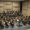 Imagen de la orquesta Nueva Filarmonía en escena.
